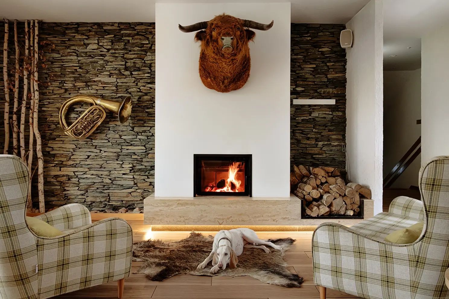 Highland Warmia — 60
