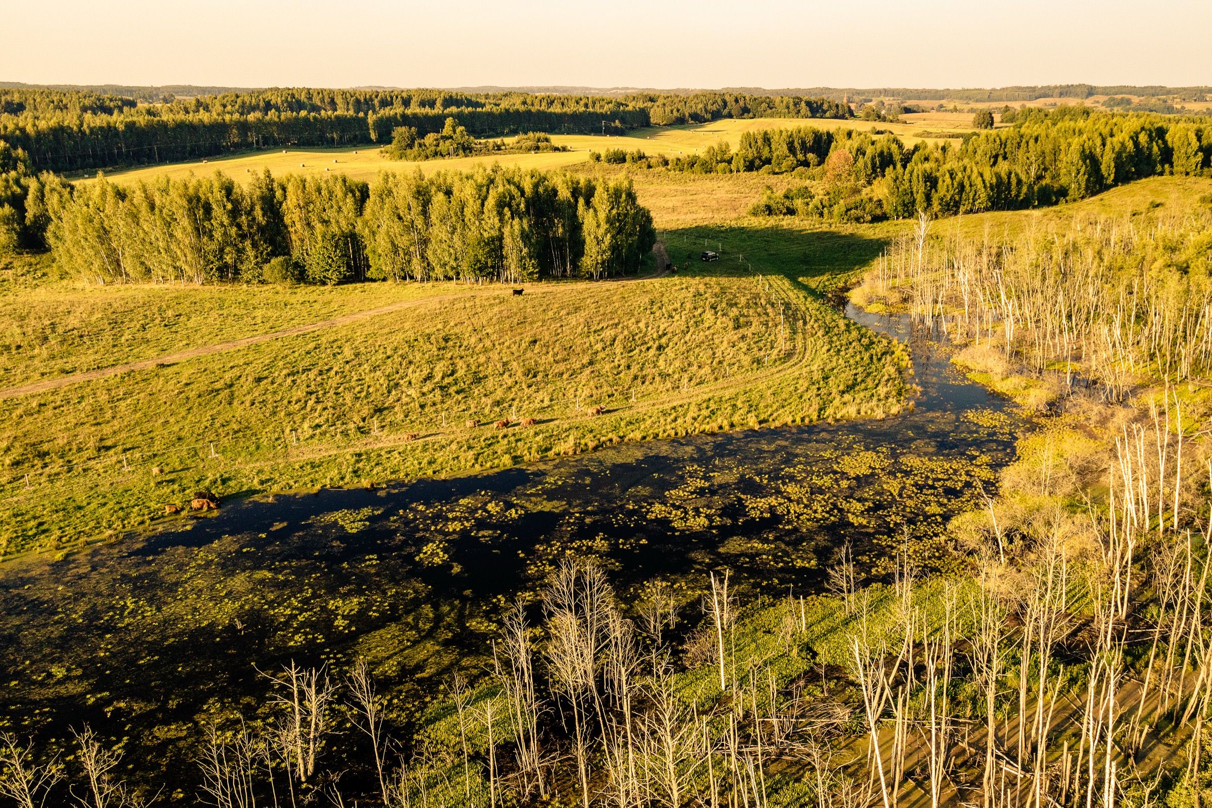 Highland Warmia — 2